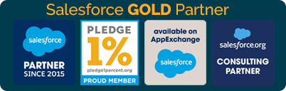 Salesforce Consulting Partner