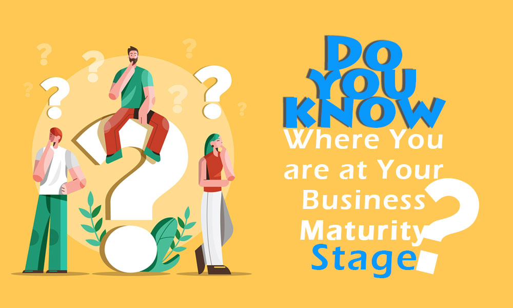 Do You Know Where You are at Your Business Maturity Stage